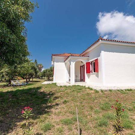 Lenna'S Villas Zante Vasilikí Eksteriør bilde